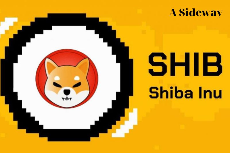 Đồng Shiba Inu là gì và sở hữu đặc điểm nào