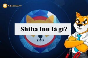 Shiba Inu là gì