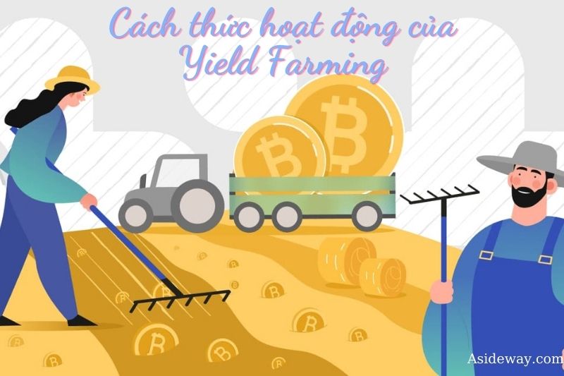cách thức hoạt động của yield farming