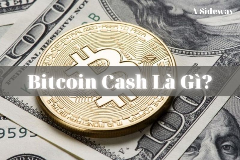 Bitcoin Cash Là Gì