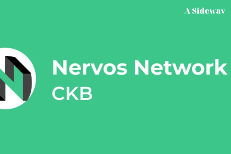 Nervos Network