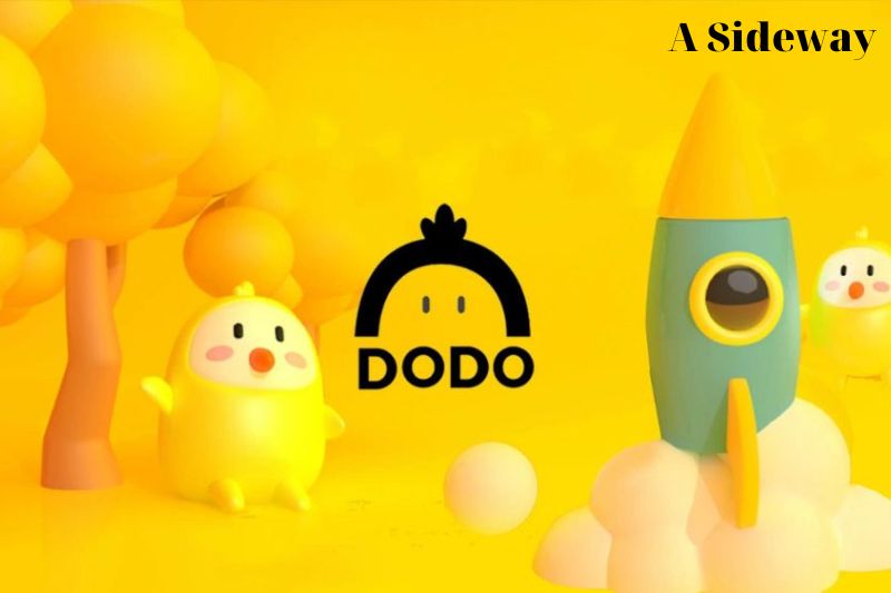 PMM và Proactive Market của Dodo