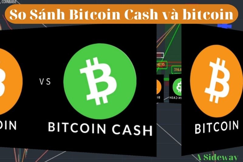 So Sánh Bitcoin Cash và bitcoin
