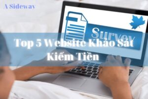 Top 5 Website Khao Sat Kiem Tien