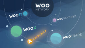 Woo Network Là Gì? Những Thông Tin Cập Nhật Về Dự Án WOO