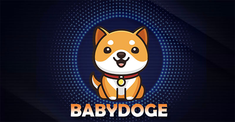 Baby Doge Coin (BABYDOGE)