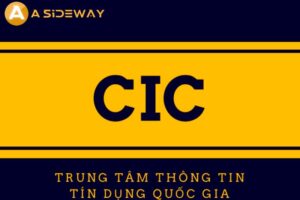 CIC La Gi Huong Dan Check CIC Chi Tiet Nhat