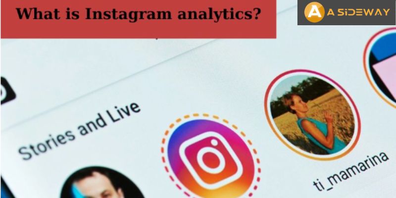 Analyzing Instagram with Social Media Analytics Software